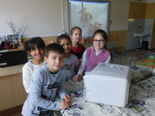 DSCN0003aa 9